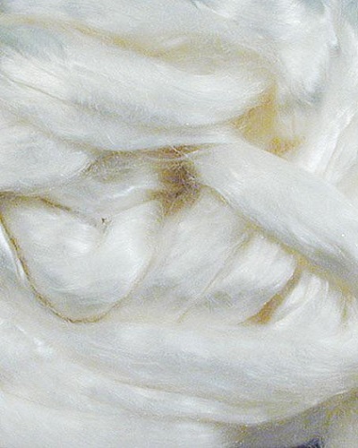 Cellulose Fibers